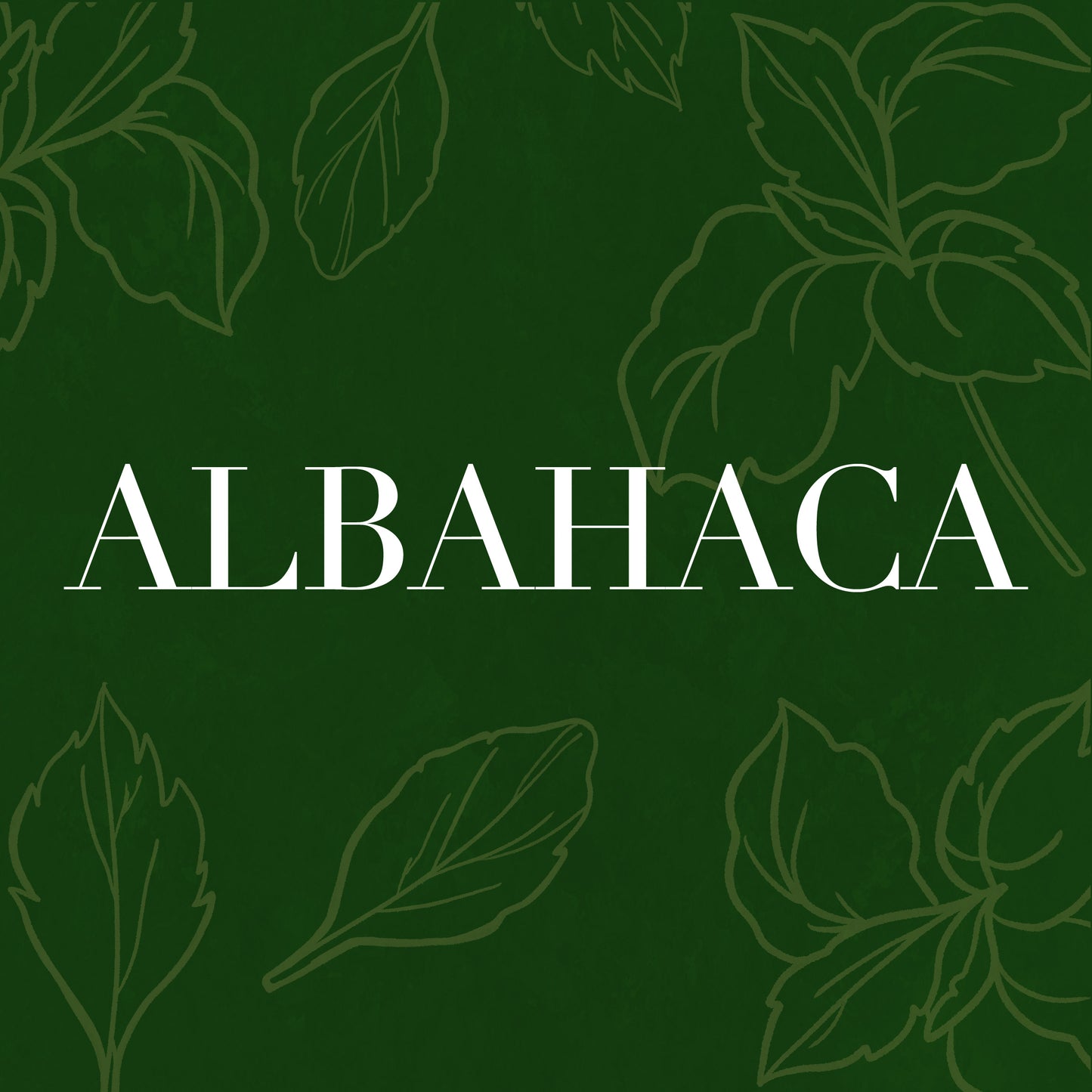 Albahaca