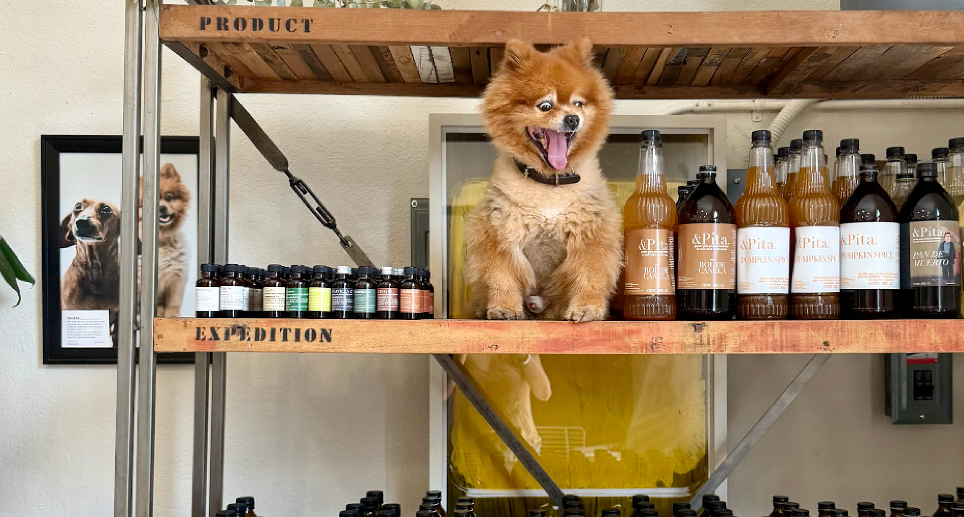 ¡Estamos de fiesta!