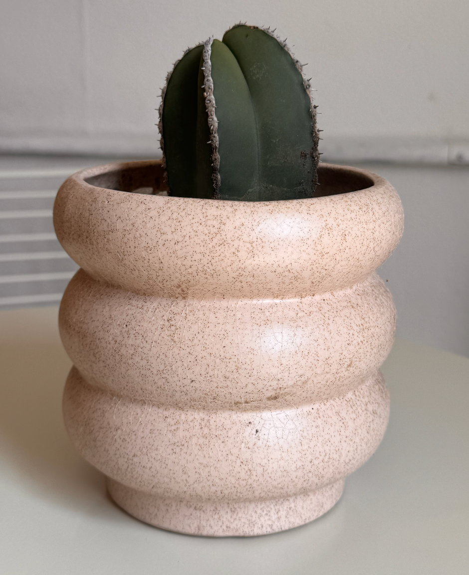 Macetas